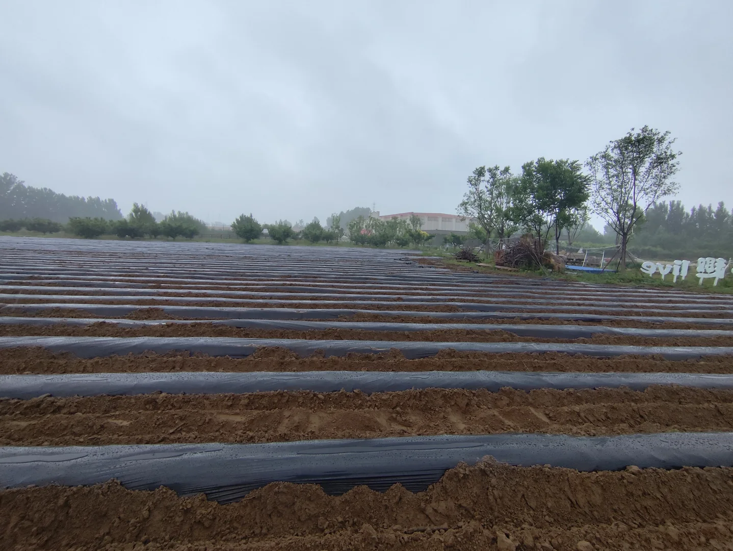 Post-installation field record